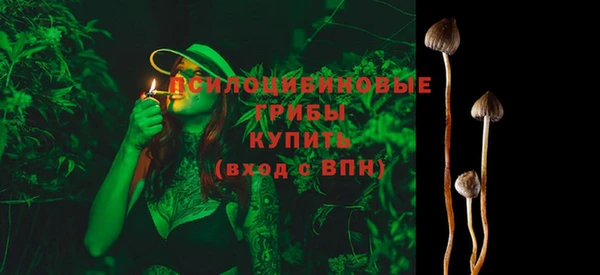 прущая мука Козельск